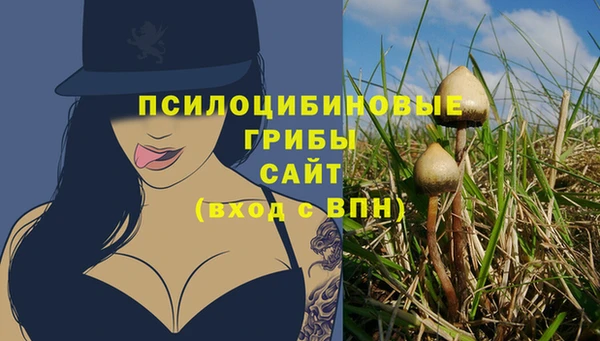 амф Нязепетровск
